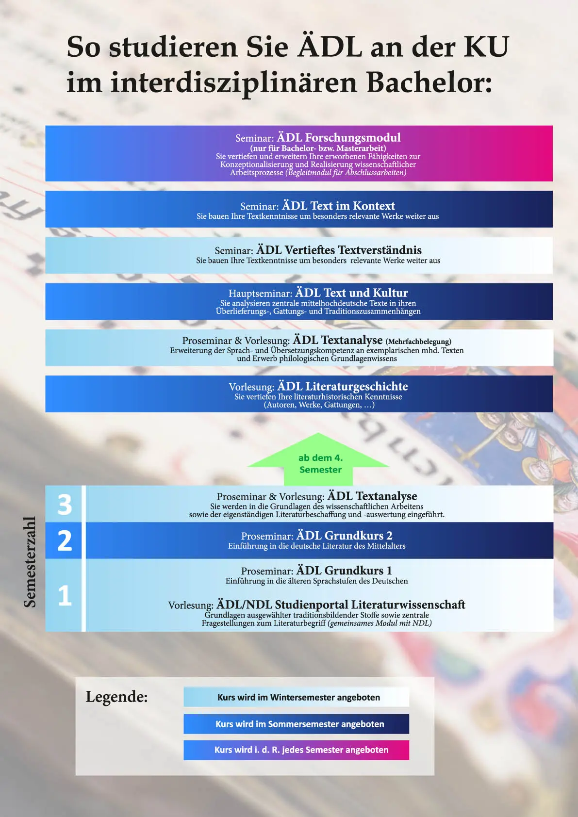 ÄdL_Studieren_Bachelor