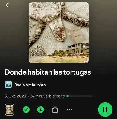 Tortugas