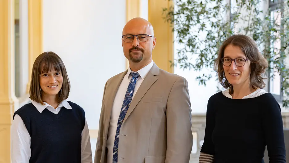 Senatsvorsitz