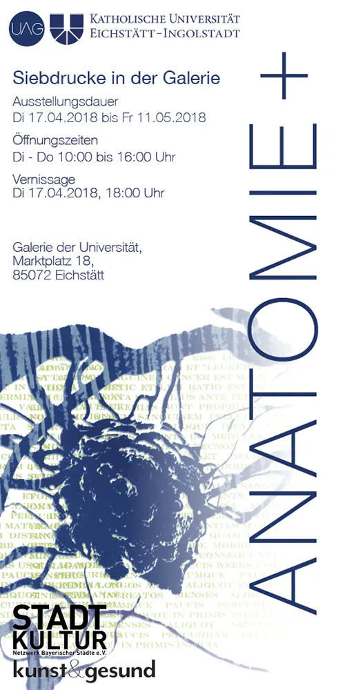 UAG Anatomie