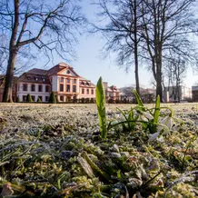 Sommerresidenz_Schneeglöckchen