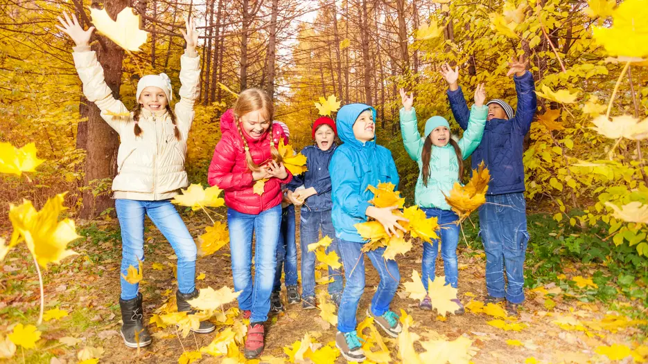 Kinder im Wald