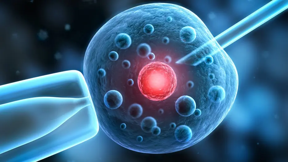 Fotolia_38198824_XXL-1.jpg