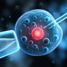 Fotolia_38198824_XXL-1.jpg