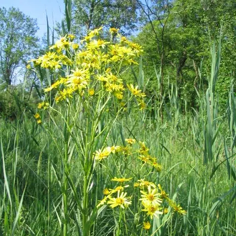 Foto2.jpg