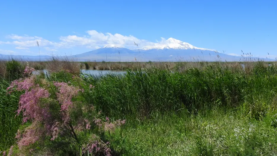 [Translate to Englisch:] Armash-Feuchtgebiete in Armenien 