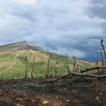DirkvdM_santa_fe_scorched.jpg