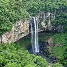 Wasserfall_Regenwald.jpg