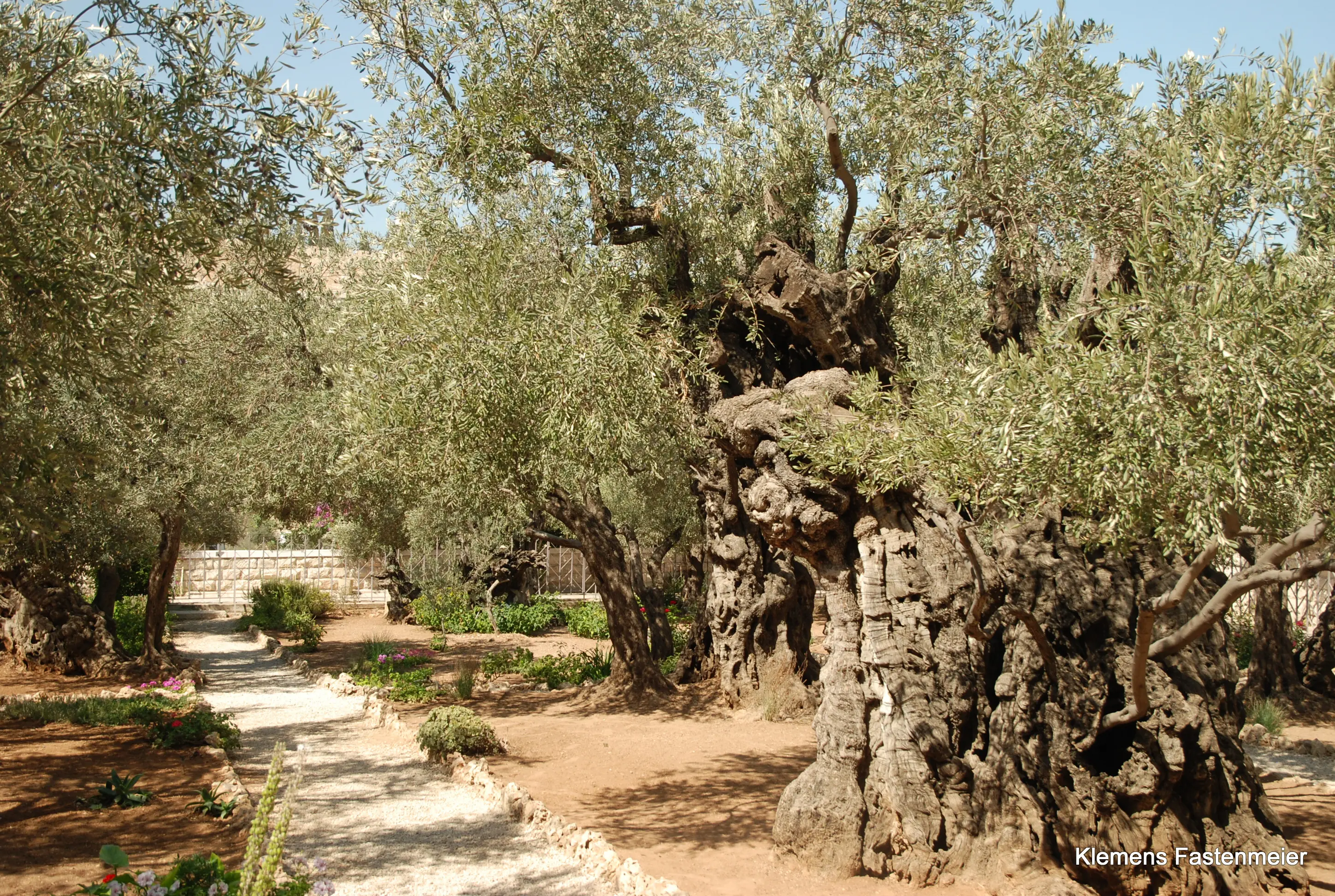 Israel2011