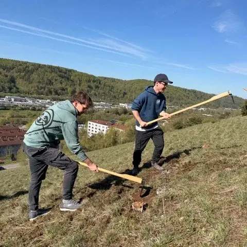 Studierende beim Freilegen der Steine