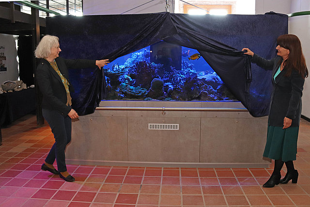 Museumsleiterin Privatdozentin Dr. Christina Ifrim (rechts) und die Generalsekretärin der Staatlichen Naturwissenschaftlichen Sammlungen Bayerns, Dr. Elisabeth Schepers, enthüllten das neue Riff-Aquarium des Eichstätter Jura-Museums.