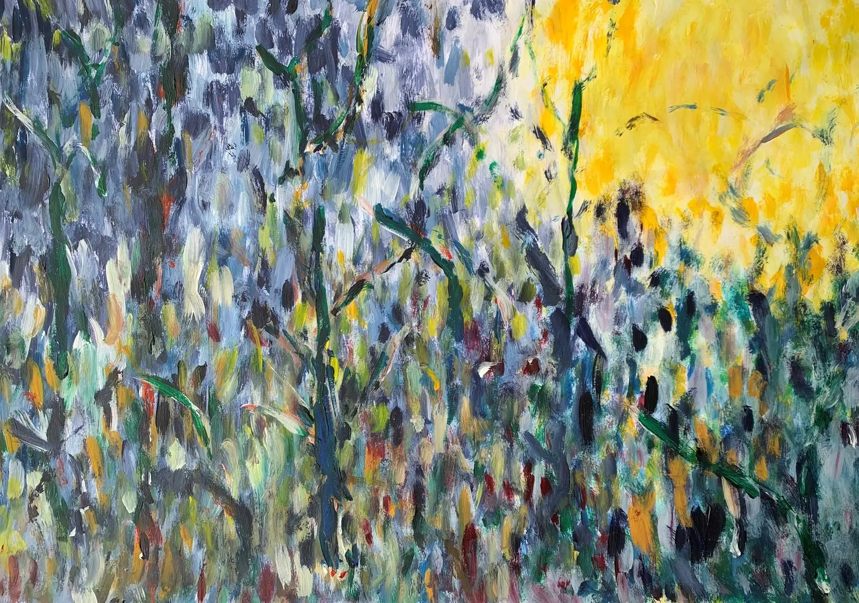  Meier-Franziska-Carte-blanche-01.jpeg