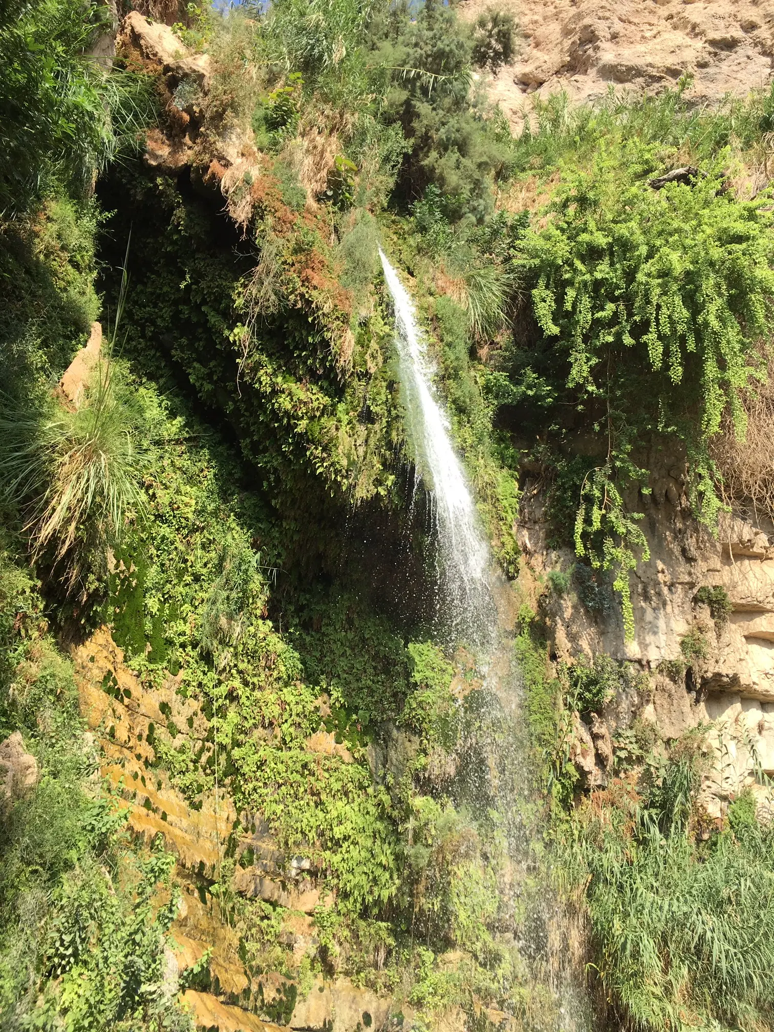 Wasserfall in der Wüste Juda - En Gedi
