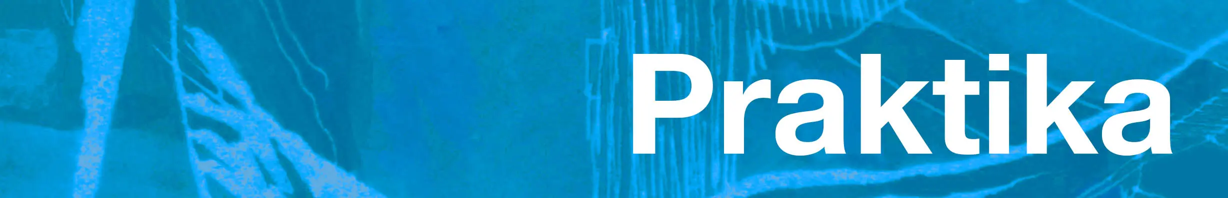 Praktika