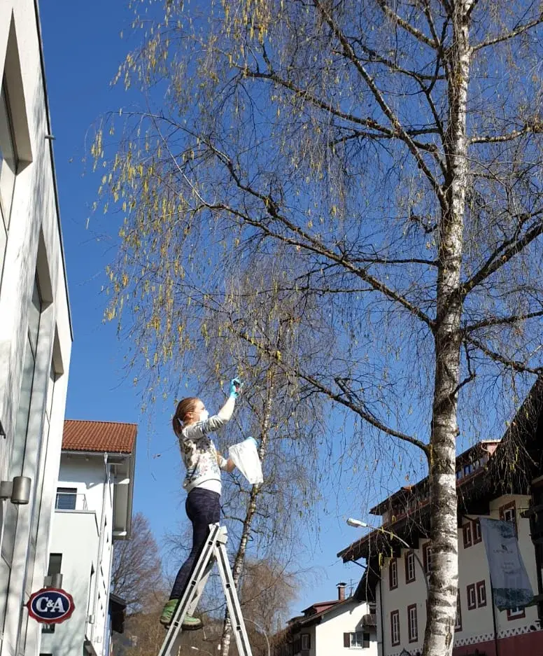 Probennahme für das Forschungsprojekt PollenPALS.