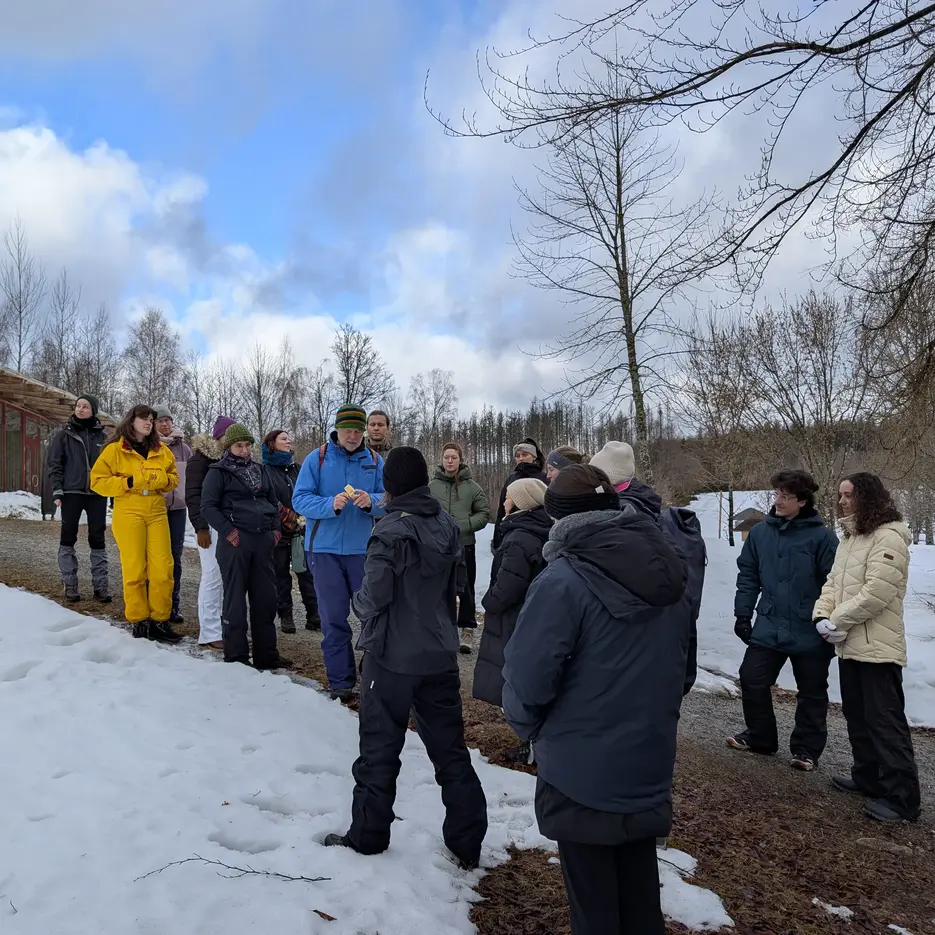 Tierspuren im Schnee lesen lernen