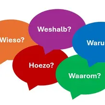 Form, Variation und Funktion von kausalen Fragew&ouml;rtern im deutsch-niederl&auml;ndischen Sprachvergleich