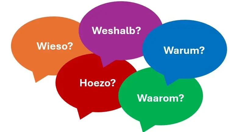 Form, Variation und Funktion von kausalen Fragew&ouml;rtern im deutsch-niederl&auml;ndischen Sprachvergleich