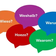 Form, Variation und Funktion von kausalen Fragew&ouml;rtern im deutsch-niederl&auml;ndischen Sprachvergleich