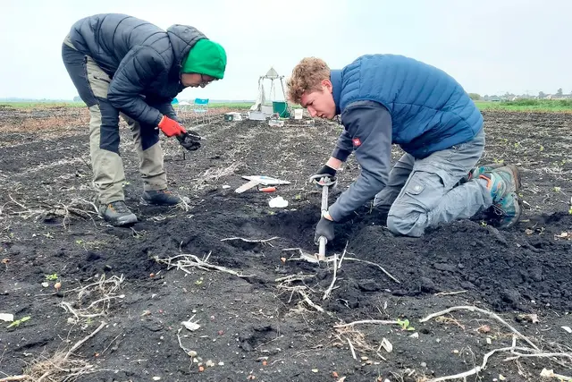 Master-Studierende bei der Entnahme von Bodenproben. 