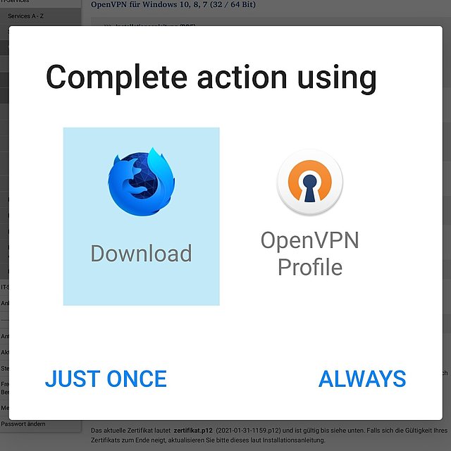 Screenshot von herunterladen des OpenVPN Profils
