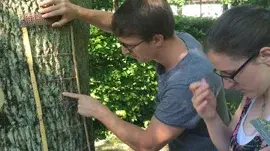 Flechten.jpg
