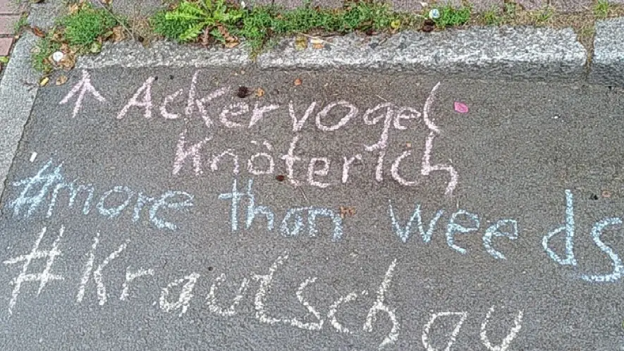 Aktionstag #Krautschau