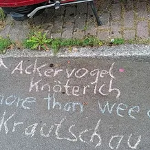 Aktionstag #Krautschau