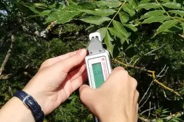 Messgerät (Plant Stess Kit, Opti Sciences )