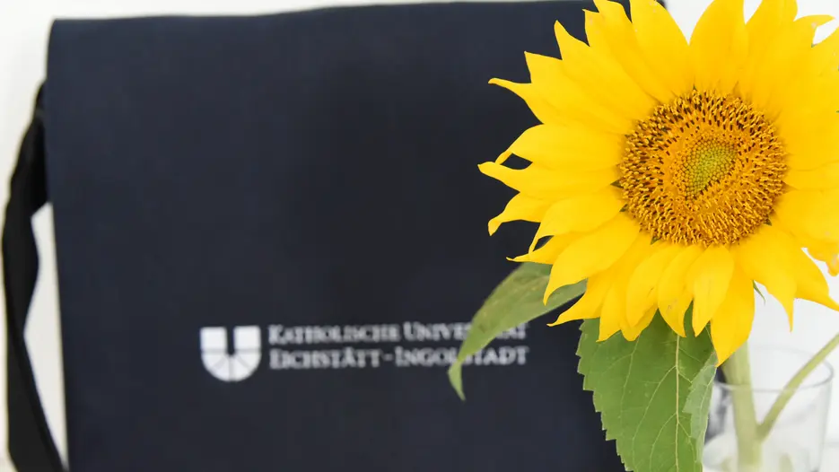 Sonnenblume