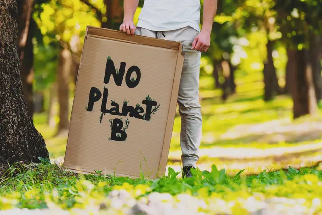 Zusatzstudium "Sustainability in Business"