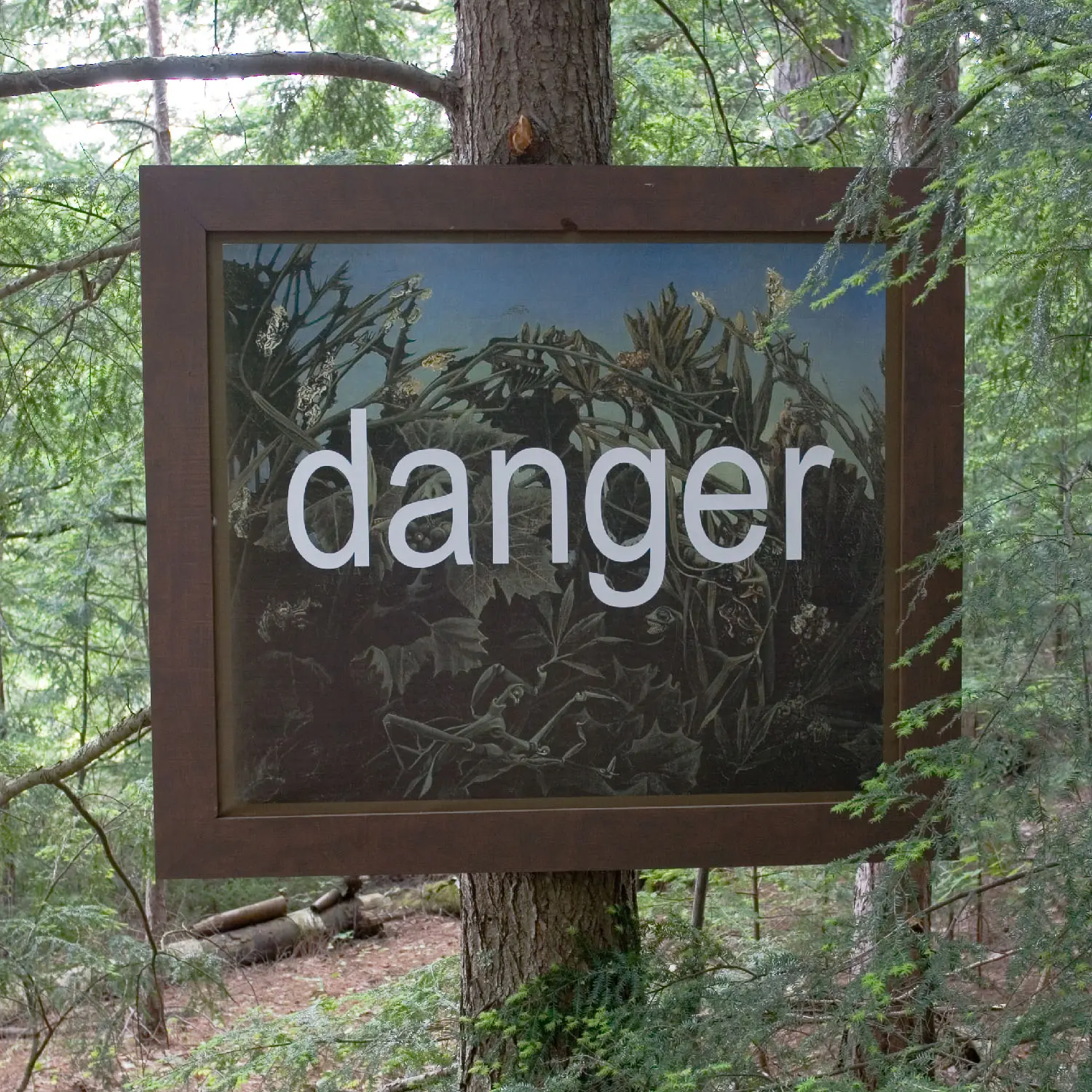 Forest Art Wisconsin 2007 Petia Knebel