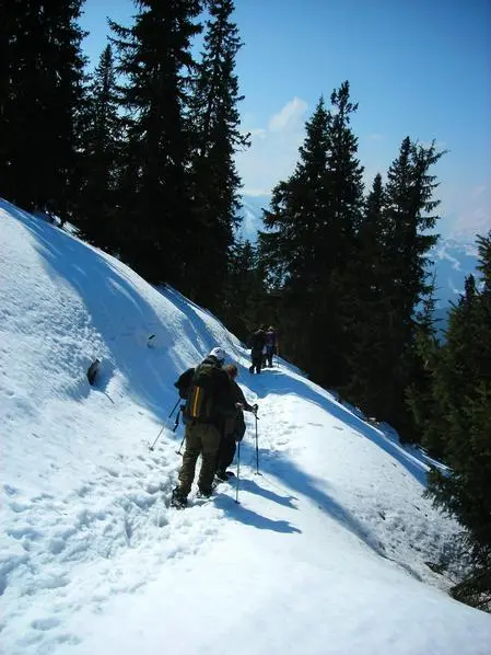 Winter 2009