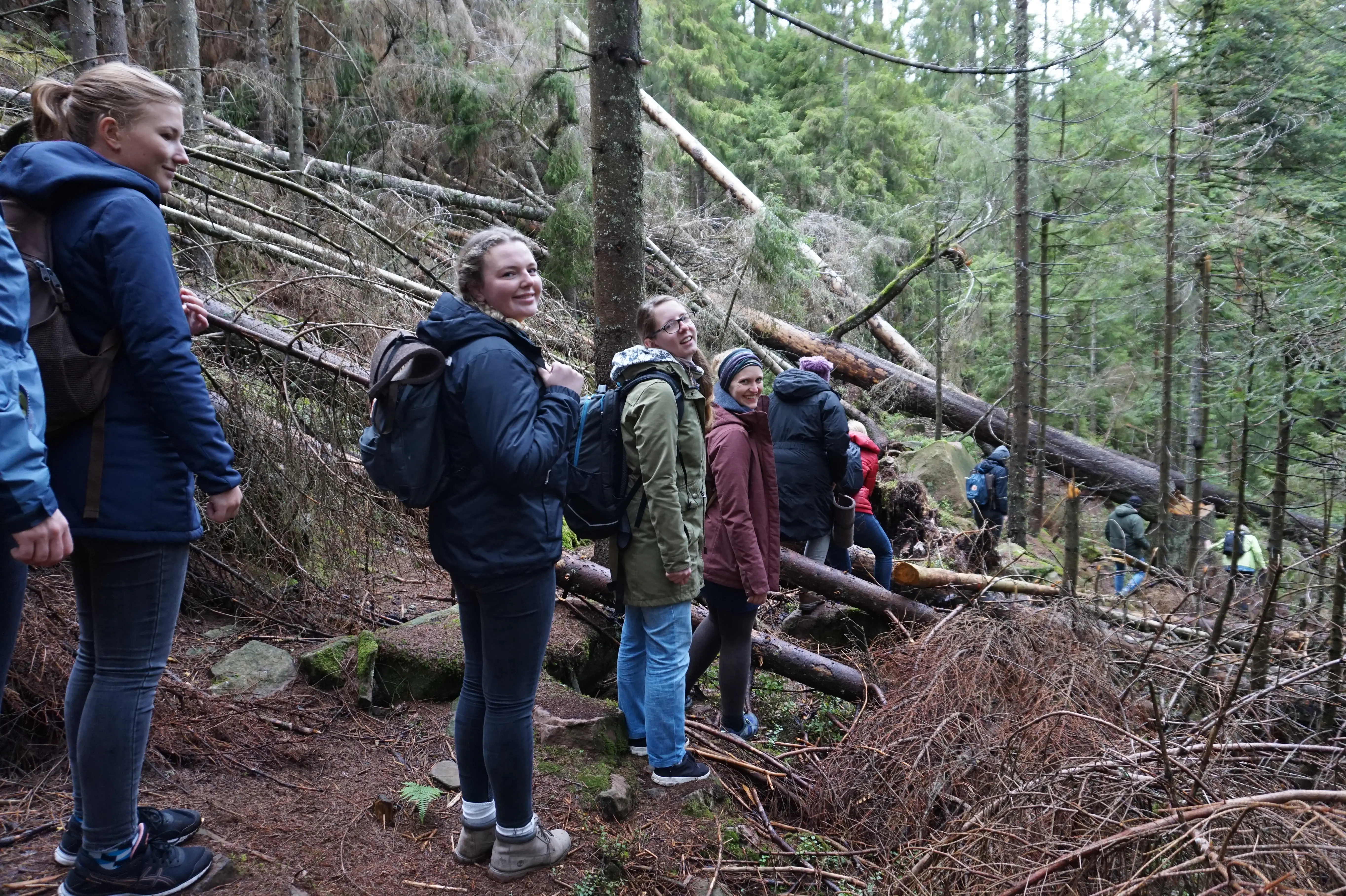 Wildnisbildung im Nationalpark Schwarzwald