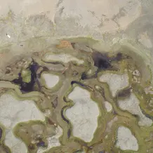 island_palsen_01.jpg