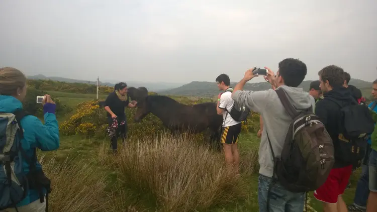 Dartmoor