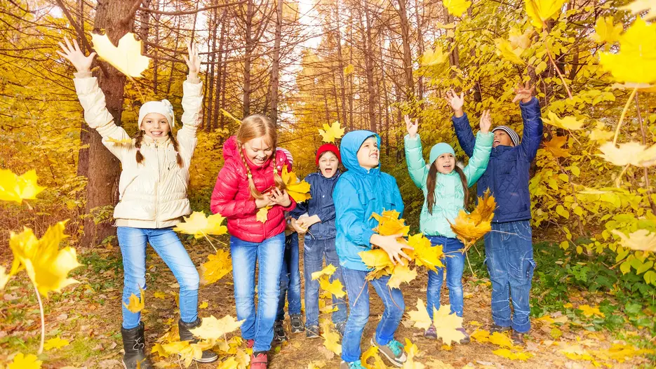 Herbstlaub