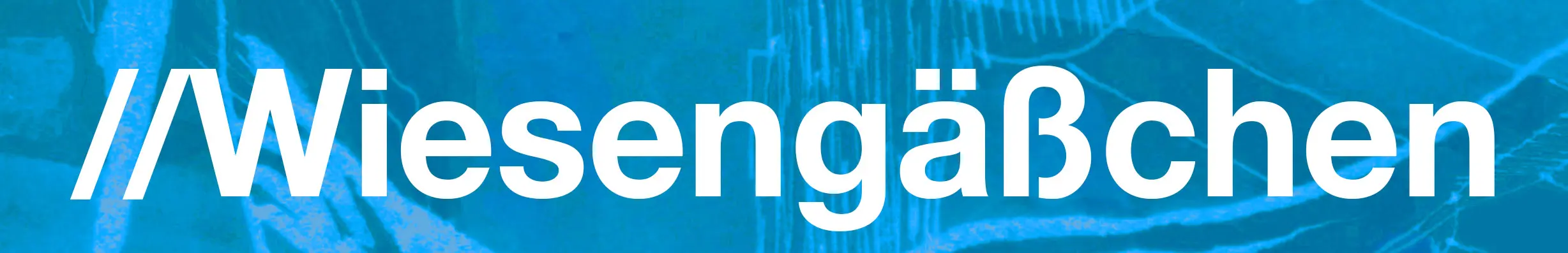 SDG Wiesengäßchen TDS