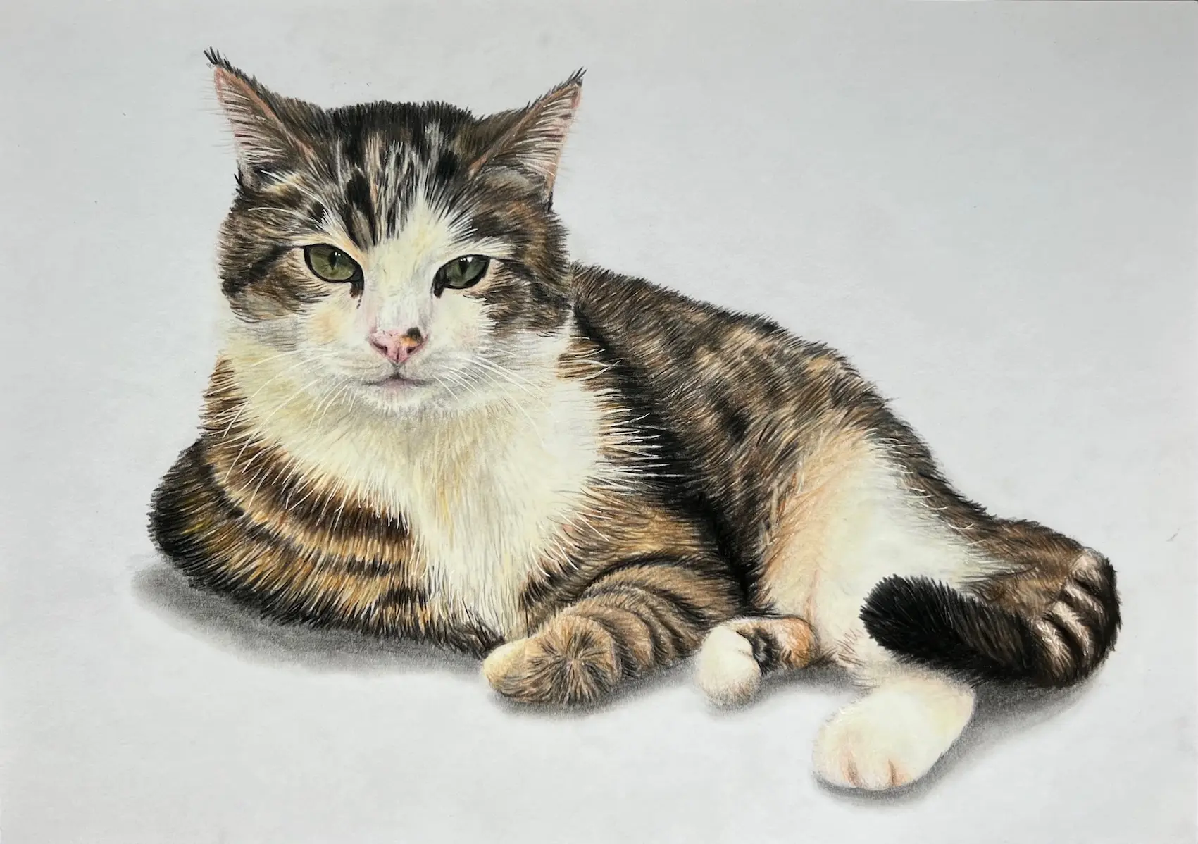 Carte blanche #112 Marietta Hofbauer