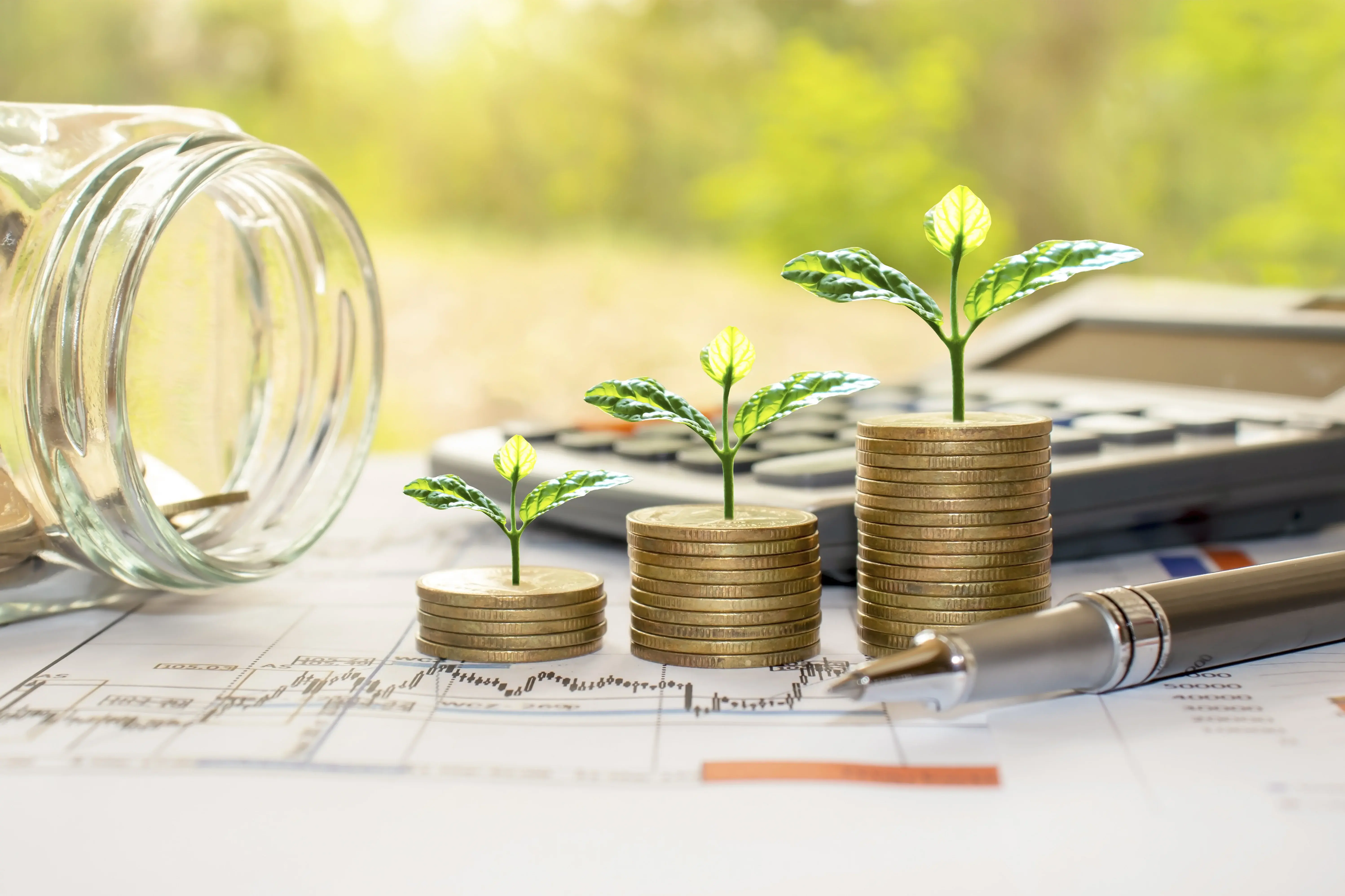 Sustainability in Business and Economics