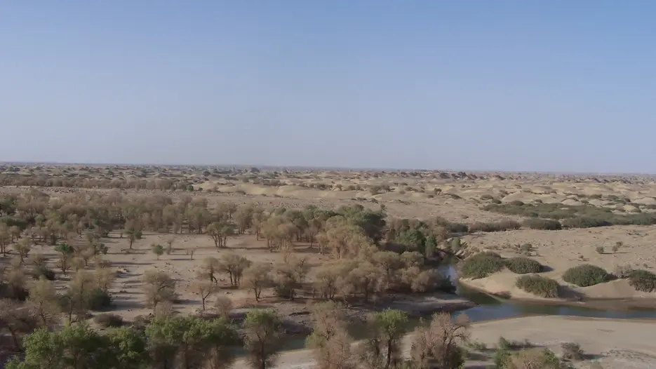 Tarim.JPG