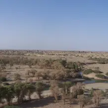 Tarim.JPG