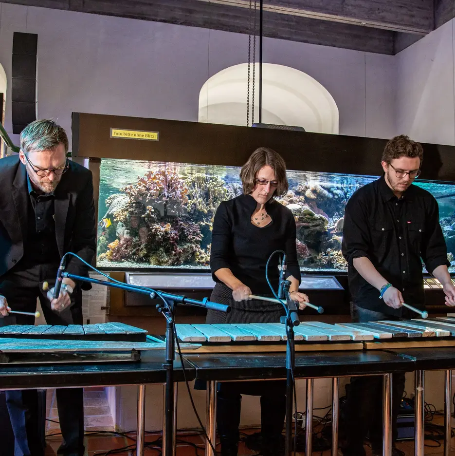 Musik auf Steinen: Die Musikprofessoren Daniel Mark Eberhard und Kathrin Schlemmer sowie Student Henrik Küpper spielten auf dem Lithophon.