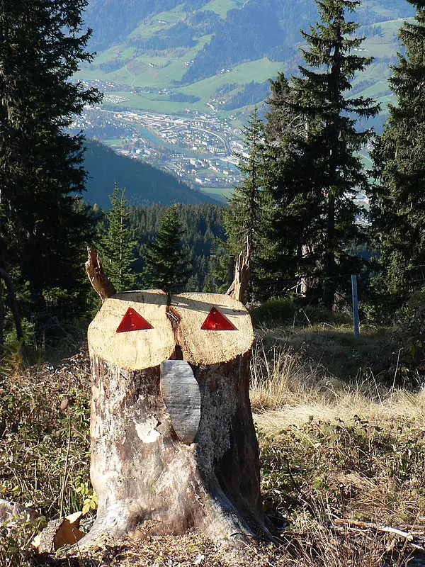 Wahrnehmen SE