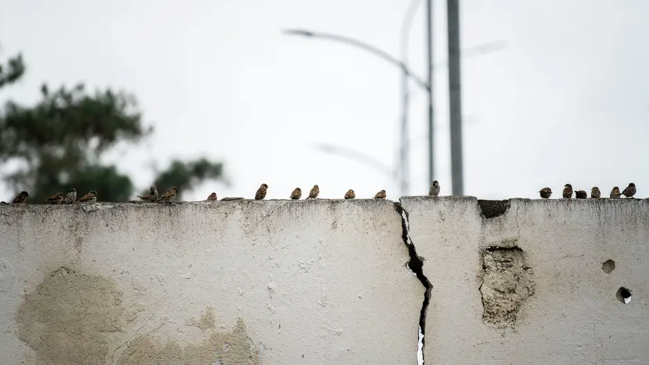 Titelbild Gesprächsreihe