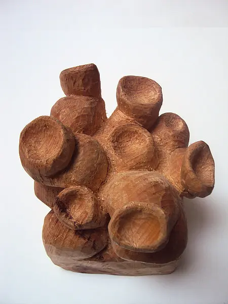 Carte blanche #13 Tamara Tunc Abb. 3