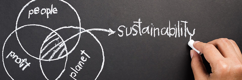 Sustainability Tafelbild