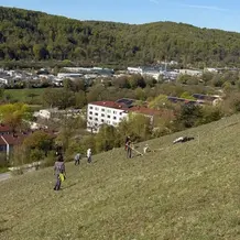 Doktorberg bei Eichst&auml;tt