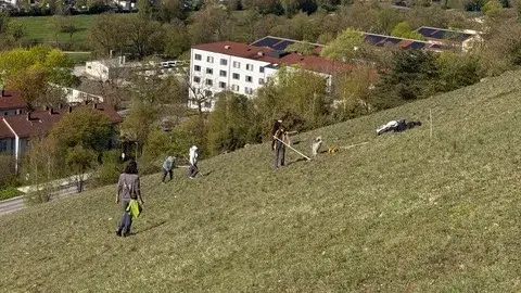 Doktorberg bei Eichst&auml;tt