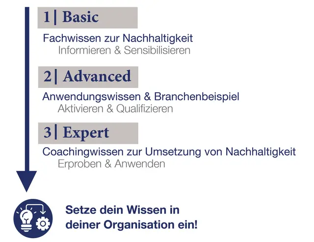 Ablauf des Coaching-Programms